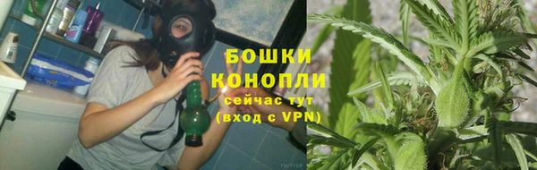 сатива Магас