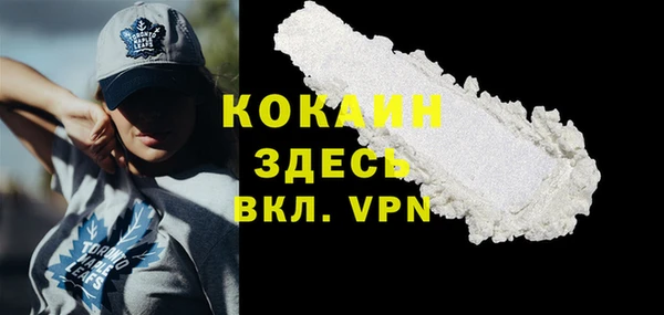 твердый Краснослободск