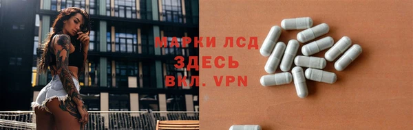 сатива Магас