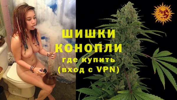 твердый Краснослободск