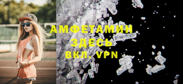 твердый Краснослободск