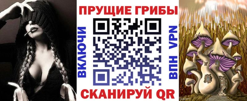 Псилоцибиновые грибы Psilocybe  Хадыженск 
